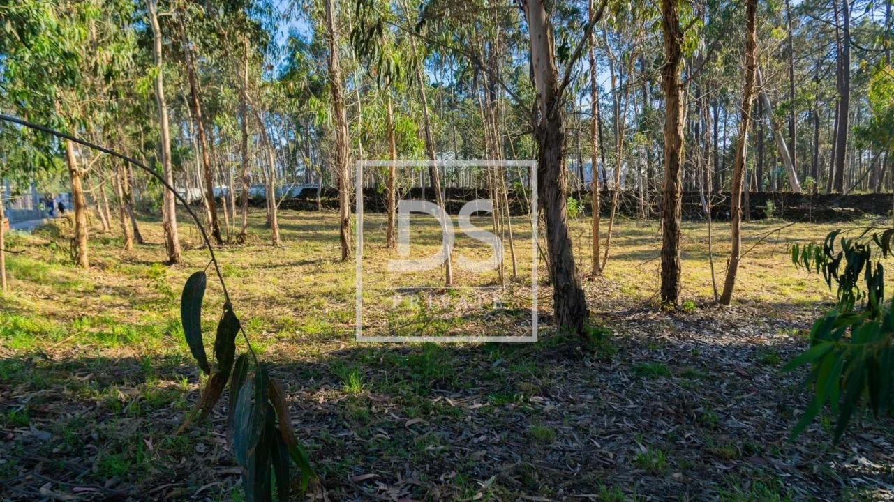Terreno para Venda em Esposende, Marinhas e Gandra Foto 7