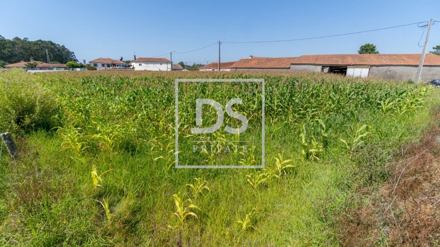 Terreno para Venda em Esposende, Marinhas e Gandra Foto 3