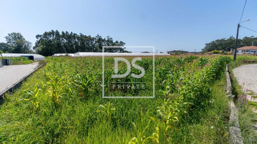 Terreno para Venda em Esposende, Marinhas e Gandra Foto 8