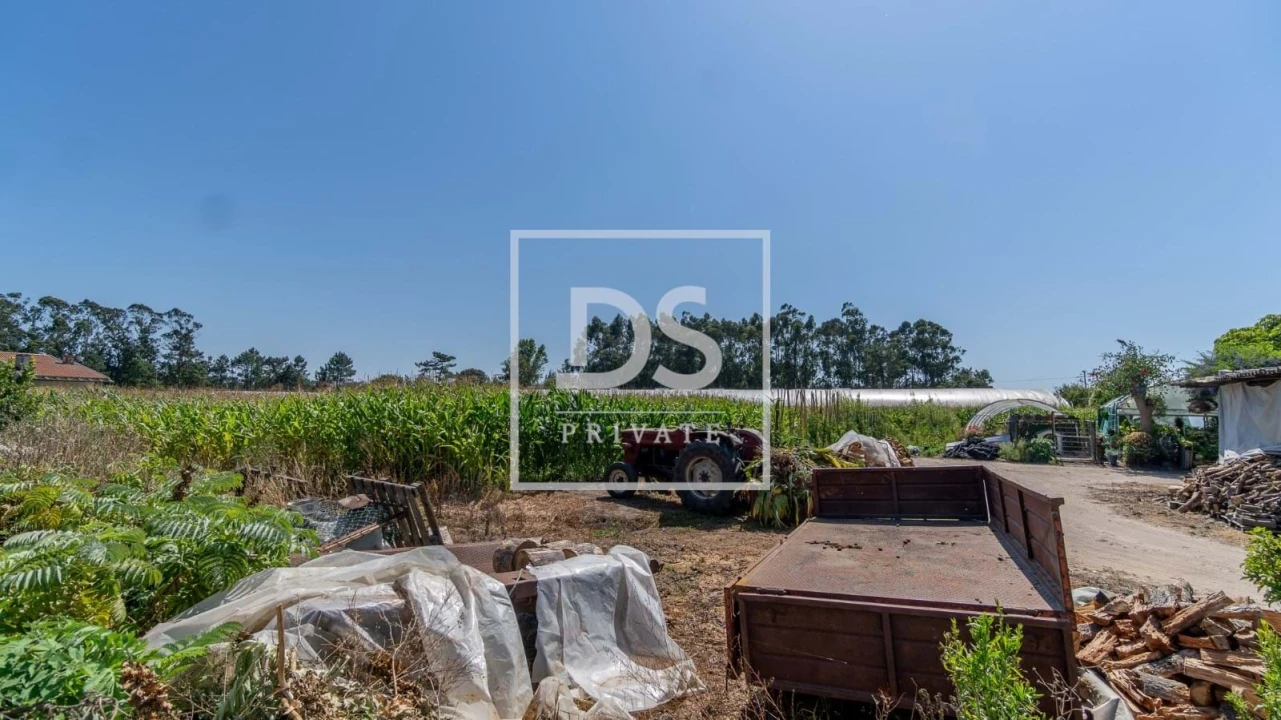 Terreno para Venda em Esposende, Marinhas e Gandra Foto 4