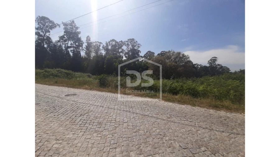 Terreno para Venda em Bustelo Foto 2