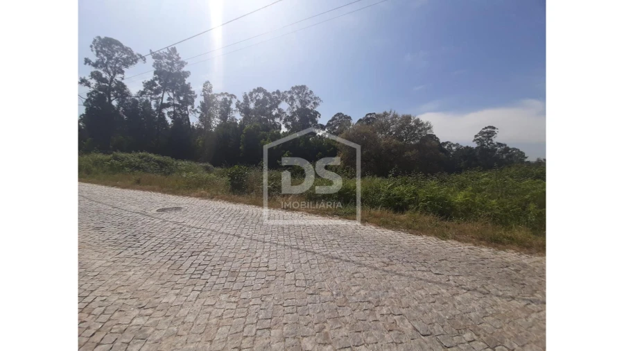 Terreno para Venda em Bustelo Foto 11