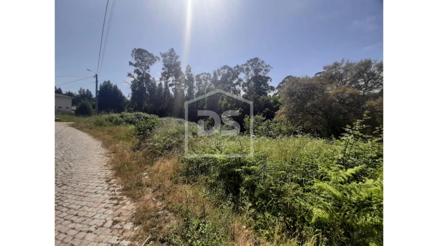Terreno para Venda em Bustelo Foto 13