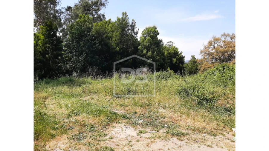 Terreno para Venda em Bustelo Foto 19
