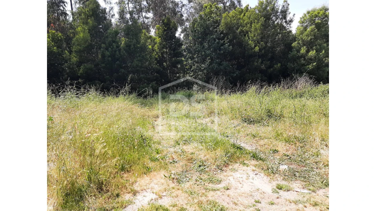 Terreno para Venda em Bustelo Foto 4