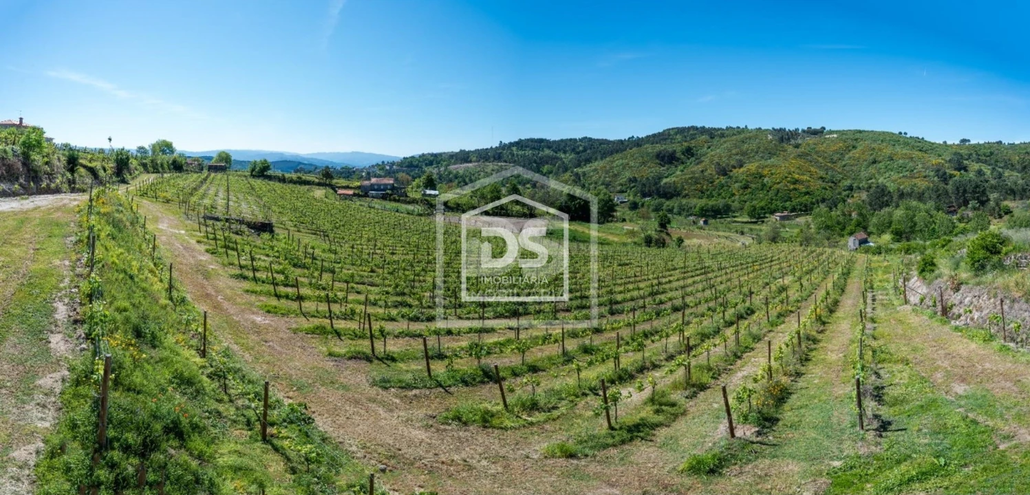 Quinta T0 para Venda em Gove Foto 16