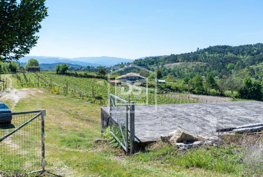 Quinta T0 para Venda em Gove Foto 15