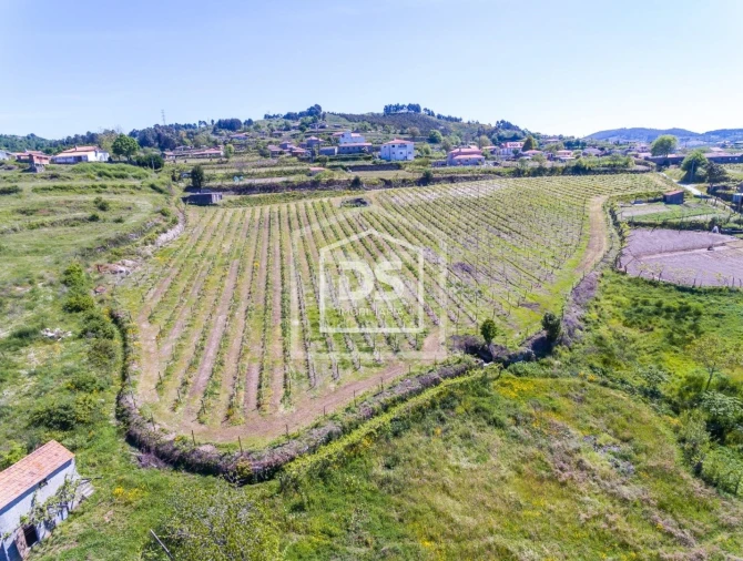 Quinta T0 para Venda em Gove Foto 19