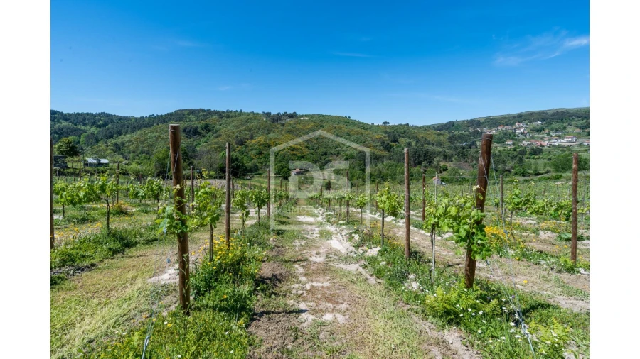 Quinta T0 para Venda em Gove Foto 2