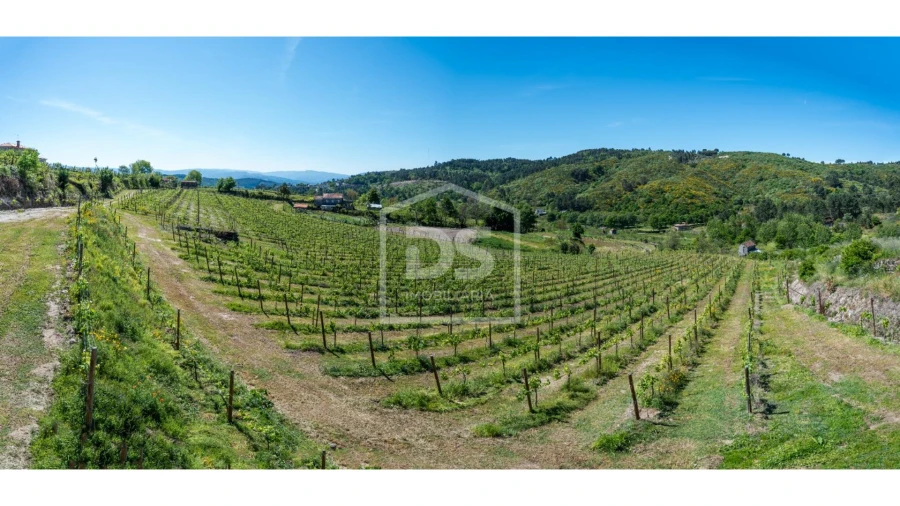 Quinta T0 para Venda em Gove Foto 4