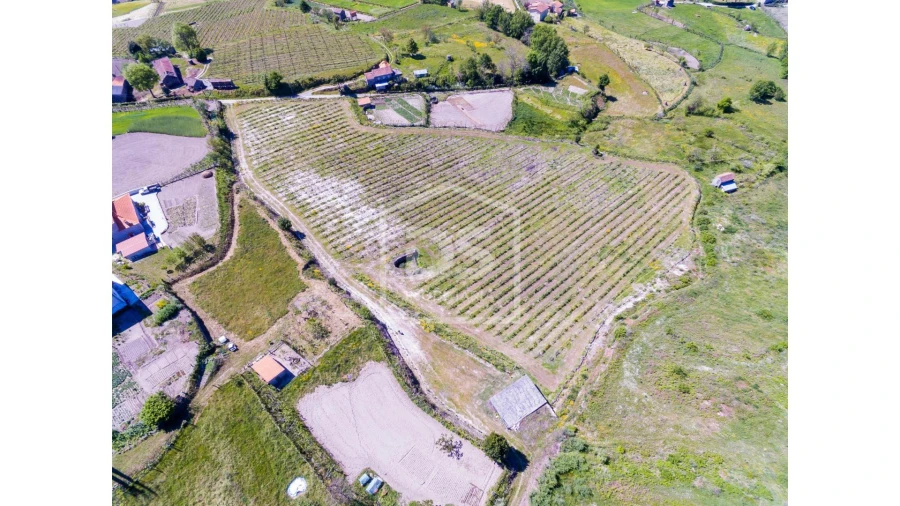 Quinta T0 para Venda em Gove Foto 9