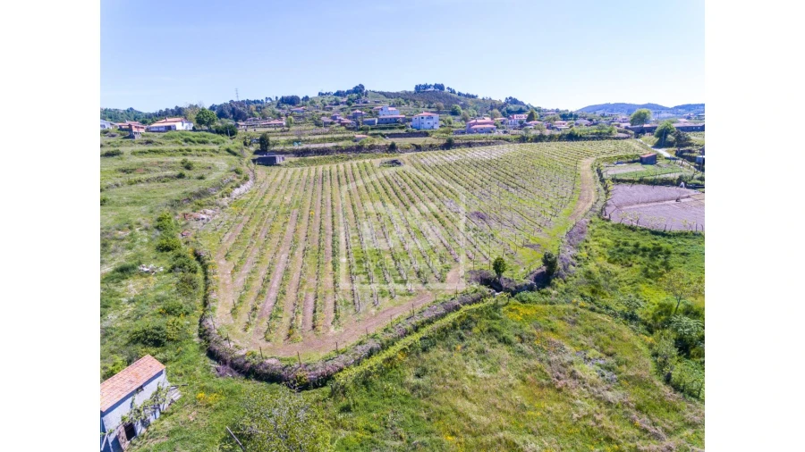 Quinta T0 para Venda em Gove Foto 3