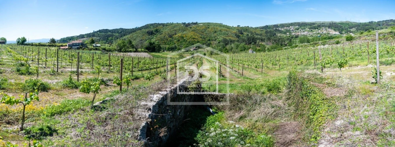 Quinta T0 para Venda em Gove Foto 14