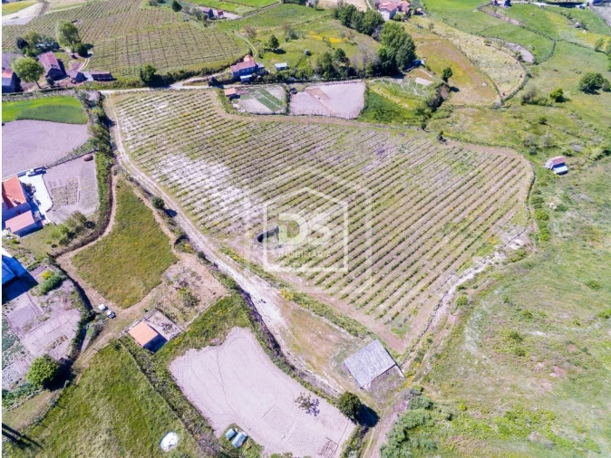 Quinta T0 para Venda em Gove Foto 17