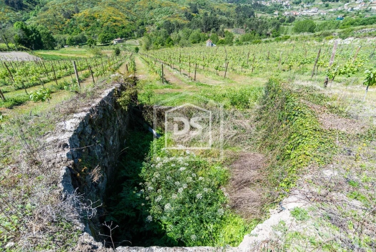 Quinta T0 para Venda em Gove Foto 13