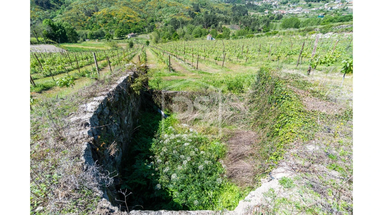 Quinta T0 para Venda em Gove Foto 7