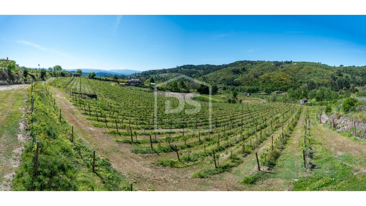 Quinta T0 para Venda em Gove Foto 4