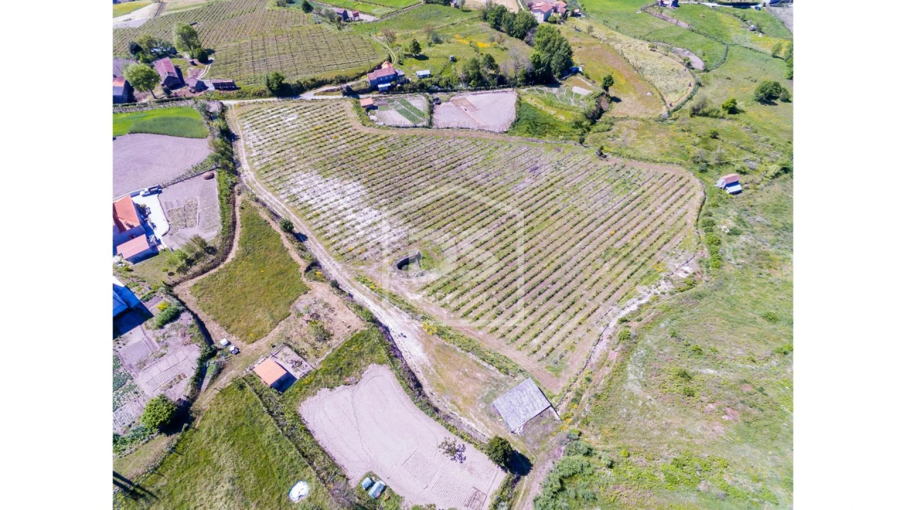 Quinta T0 para Venda em Gove Foto 9