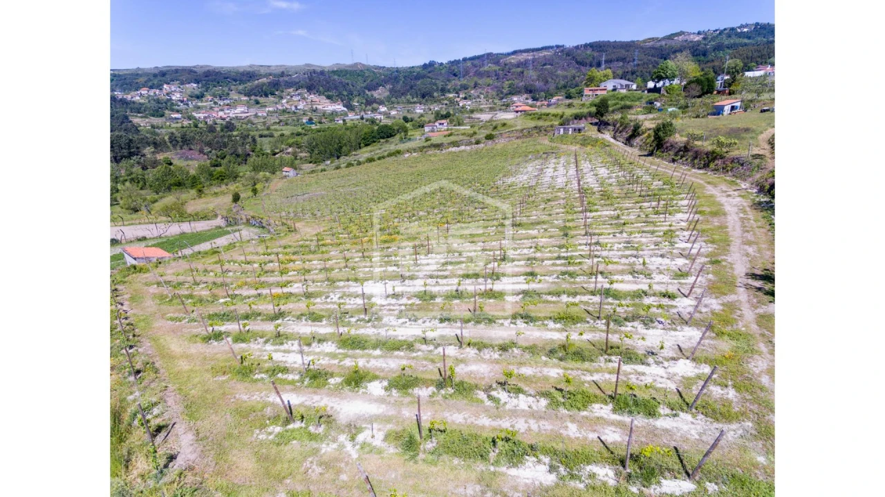 Quinta T0 para Venda em Gove Foto 1