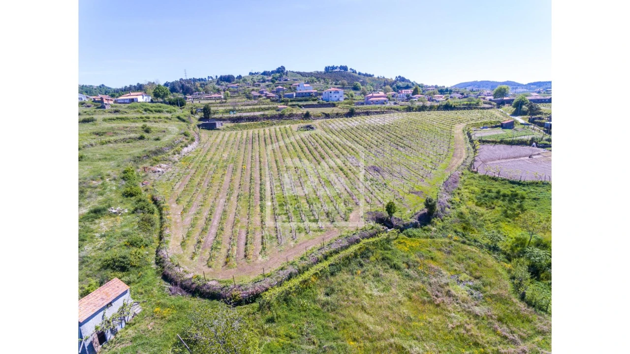 Quinta T0 para Venda em Gove Foto 3