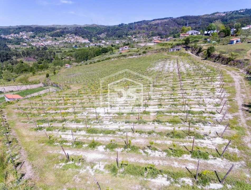 Quinta T0 para Venda em Gove Foto 18