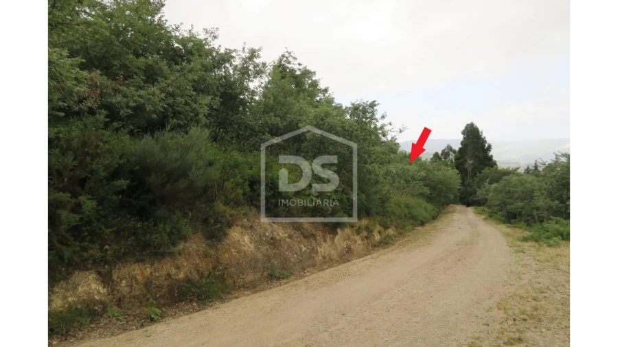 Terreno para Venda em Soalhães