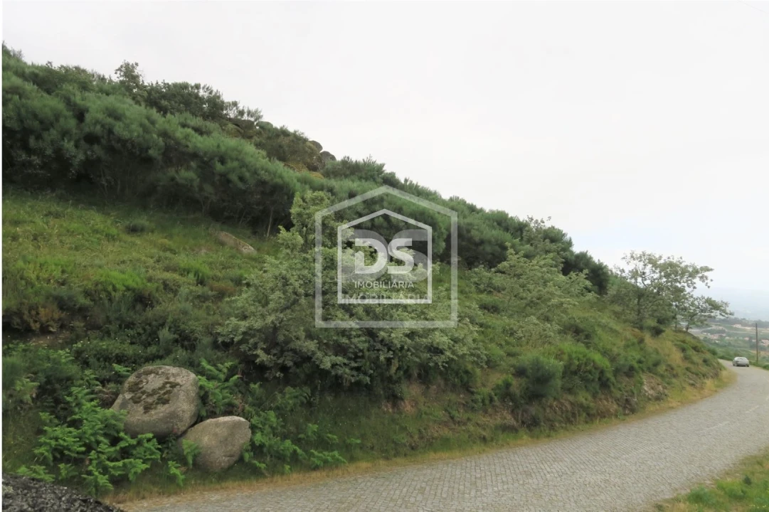 Terreno para Venda em Soalhães Foto 10