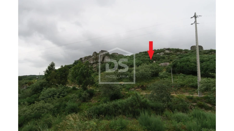 Terreno para Venda em Soalhães Foto 4