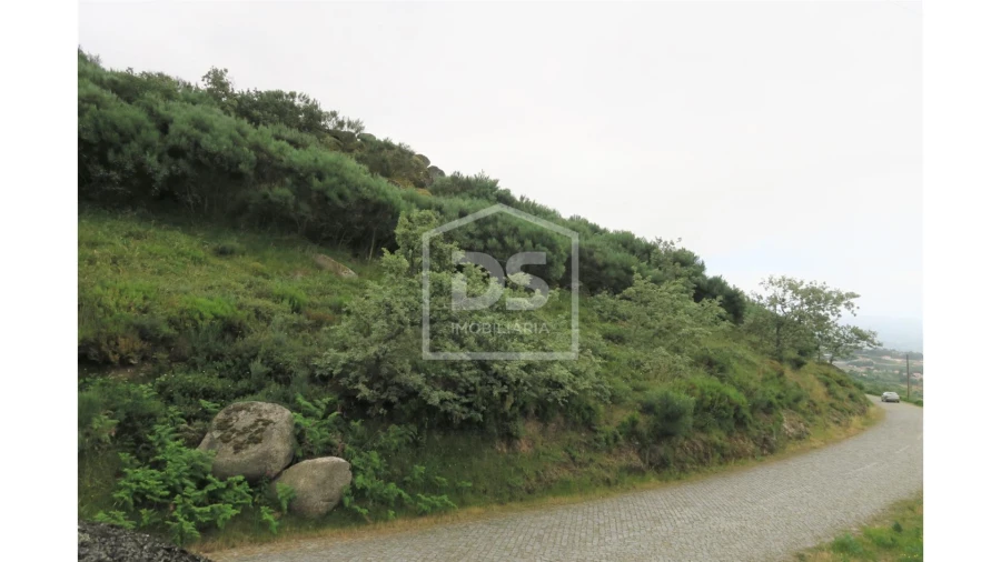 Terreno para Venda em Soalhães Foto 1