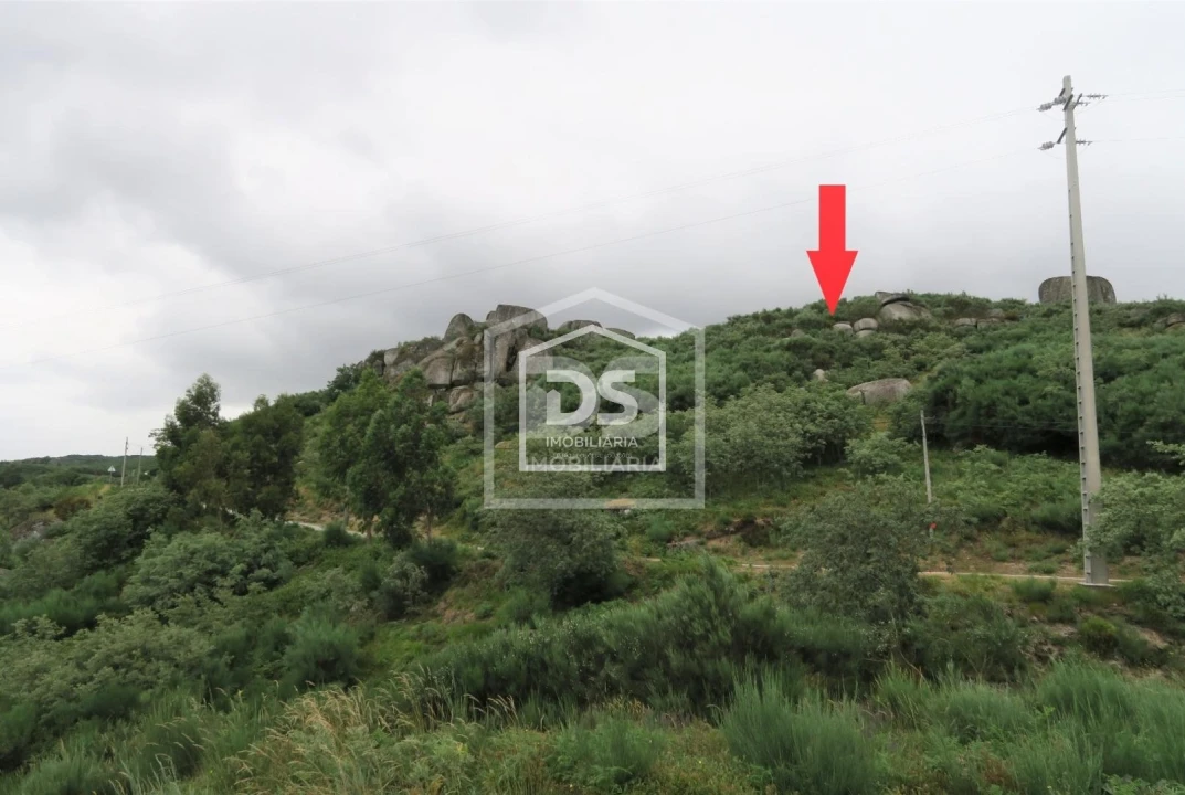 Terreno para Venda em Soalhães Foto 11
