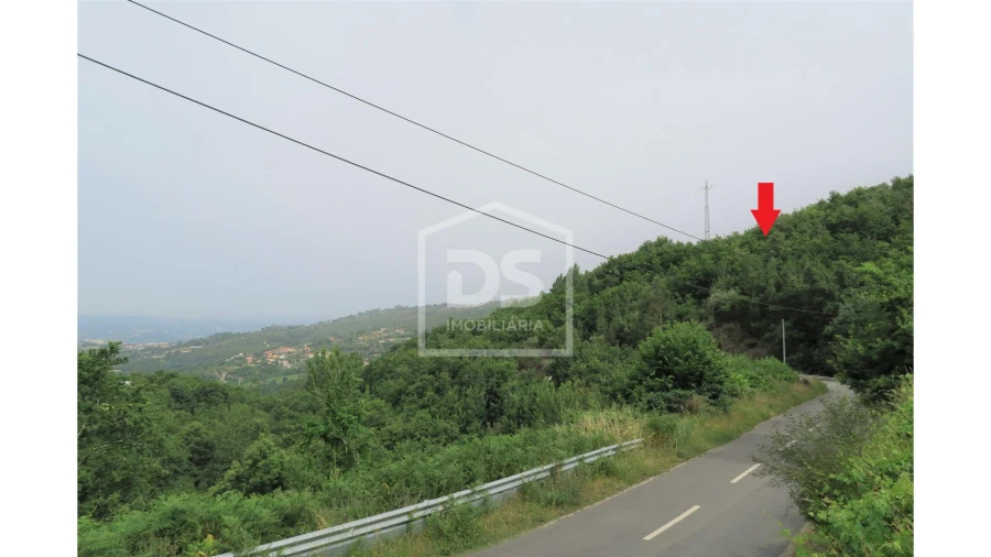 Terreno para Venda em Soalhães Foto 1