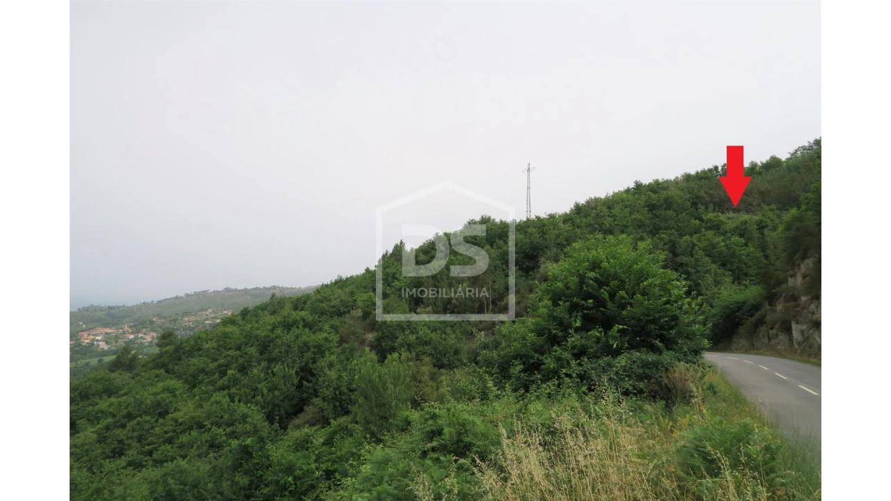 Terreno para Venda em Soalhães Foto 2