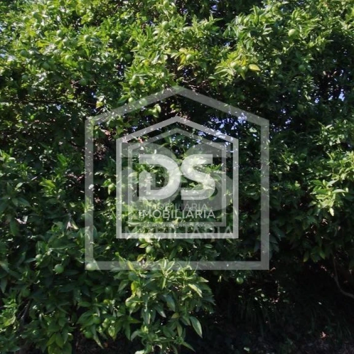 Terreno para Venda em Vila Boa de Quires e Maureles Foto 3