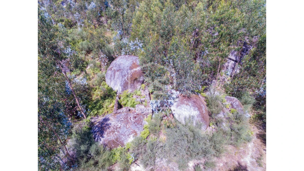 Moradia T0 para Venda em Vila Boa de Quires e Maureles Foto 3