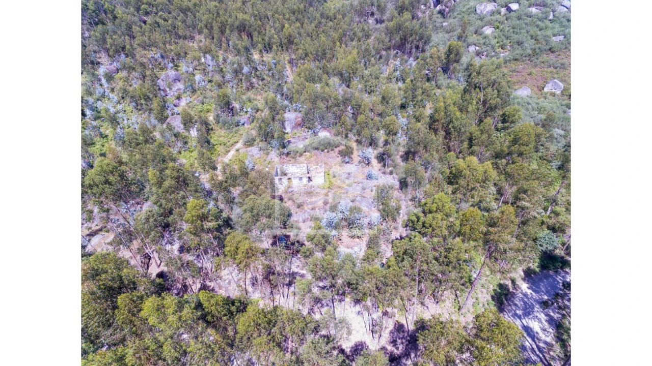 Moradia T0 para Venda em Vila Boa de Quires e Maureles Foto 4