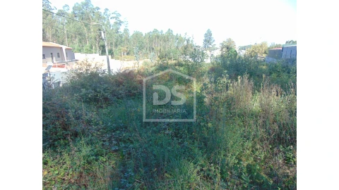 Terreno para Venda em Argoncilhe