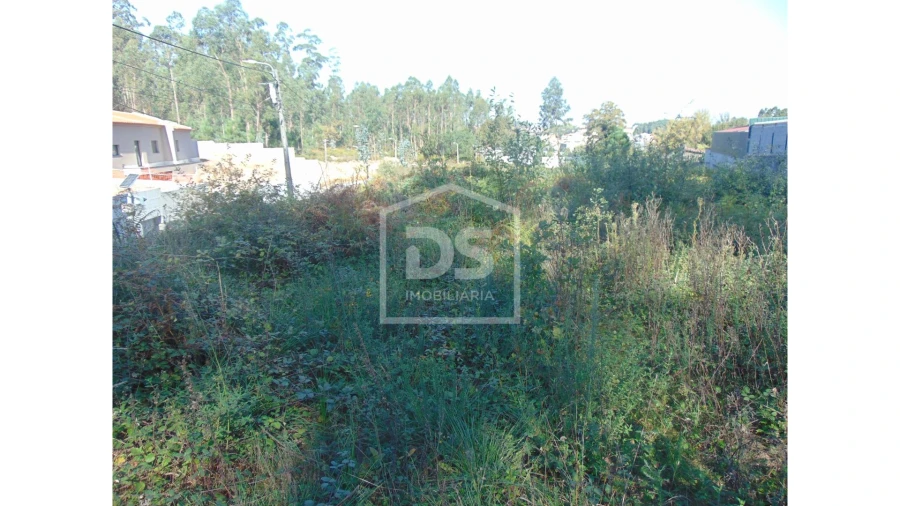 Terreno para Venda em Argoncilhe Foto 3