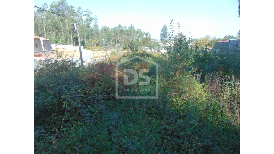 Terreno para Venda em Argoncilhe Foto 4