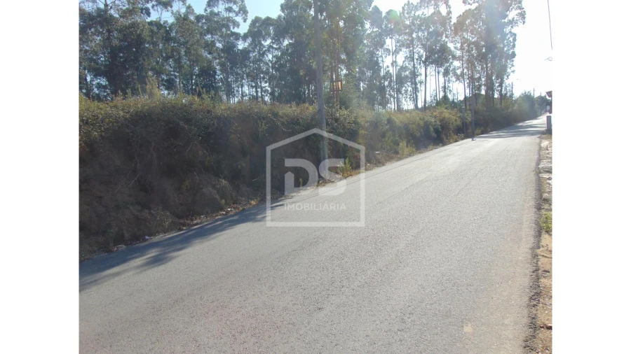 Terreno para Venda em Argoncilhe Foto 5
