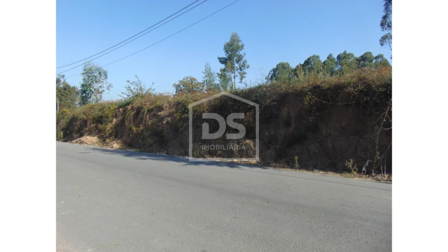 Terreno para Venda em Argoncilhe Foto 7