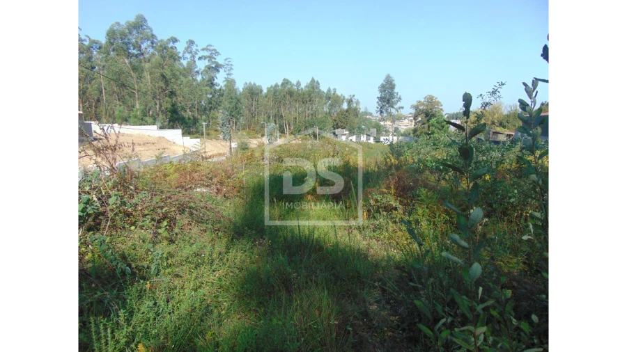Terreno para Venda em Argoncilhe Foto 13