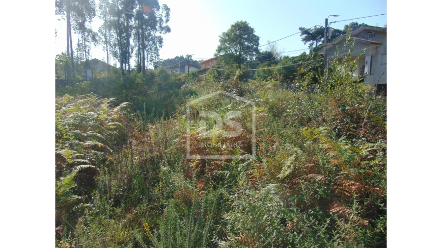 Terreno para Venda em Argoncilhe Foto 16