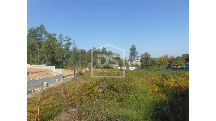 Terreno para Venda em Argoncilhe Foto 18