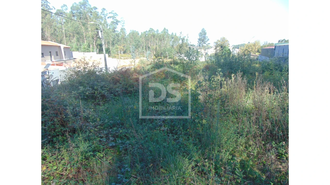 Terreno para Venda em Argoncilhe Foto 3