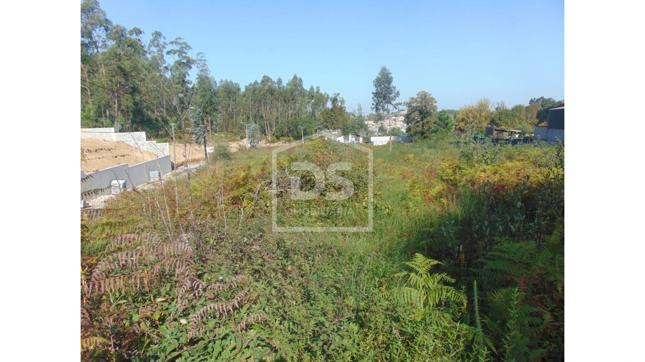 Terreno para Venda em Argoncilhe Foto 17