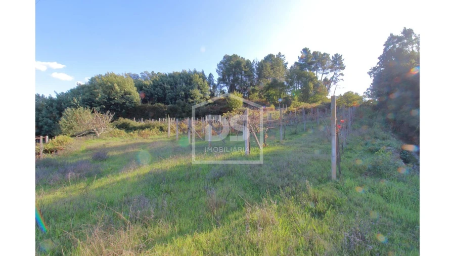 Quinta T2 para Venda em Fornos Foto 10