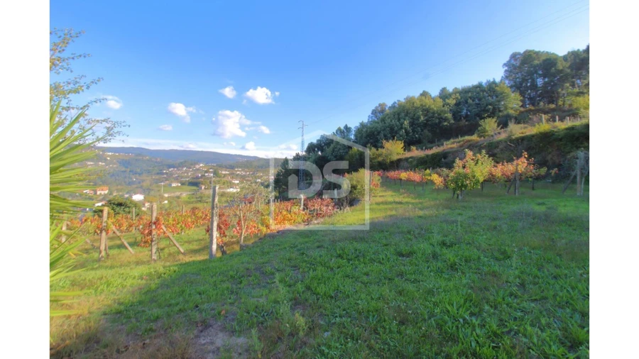 Quinta T2 para Venda em Fornos Foto 19