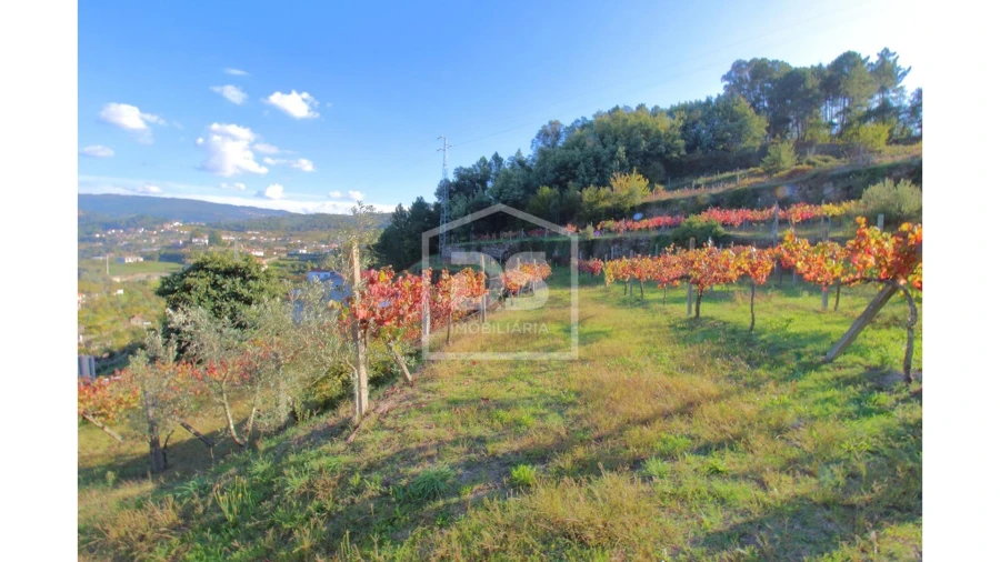 Quinta T2 para Venda em Fornos Foto 20