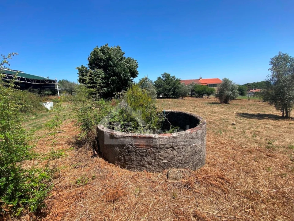Quinta T5 para Venda em Figueiró dos Vinhos e Bairradas Foto 19