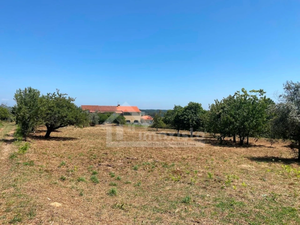 Quinta T5 para Venda em Figueiró dos Vinhos e Bairradas Foto 1